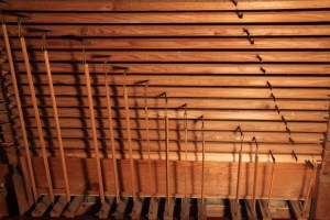 p 4 départ abrégé de Pédale IMG_7364