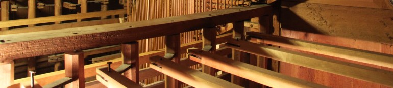 p 5 détail de IMG_7435